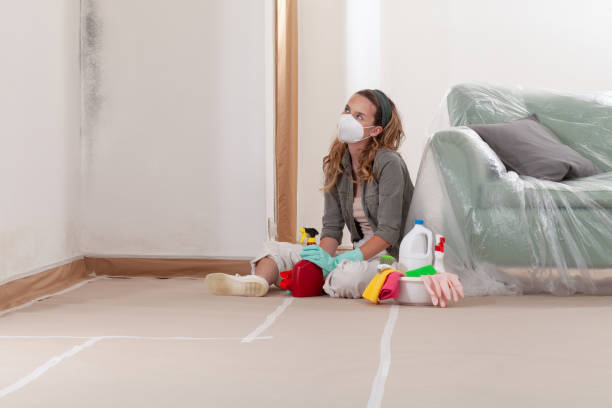Reliable Mold Remediation contractor in Westwood, NJ by WQB Mold Removal