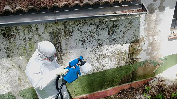 Top rated local Mold Remediation specialists in Westwood, NJ